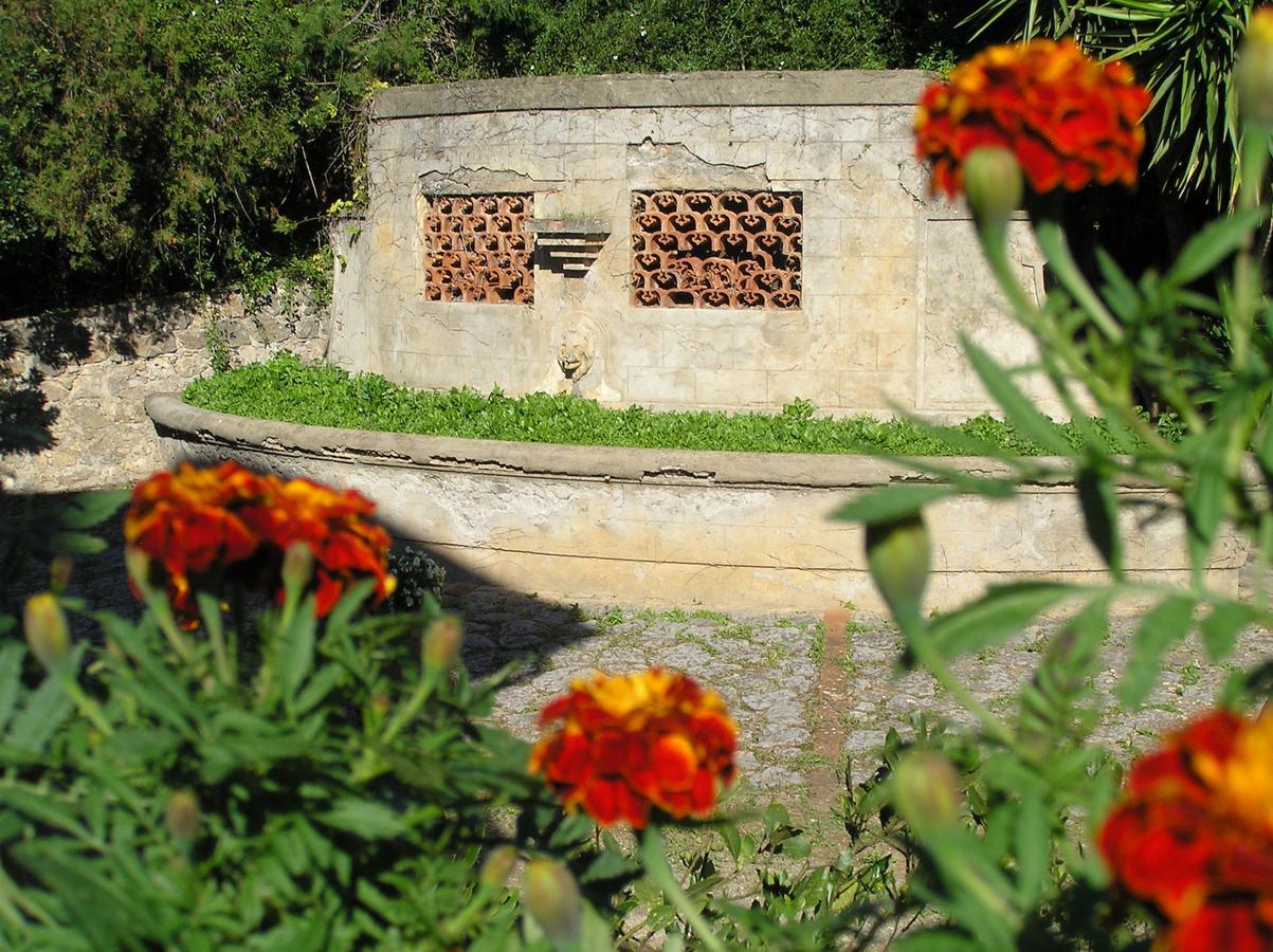 Agriturismo Grazia Orbetello Exteriér fotografie