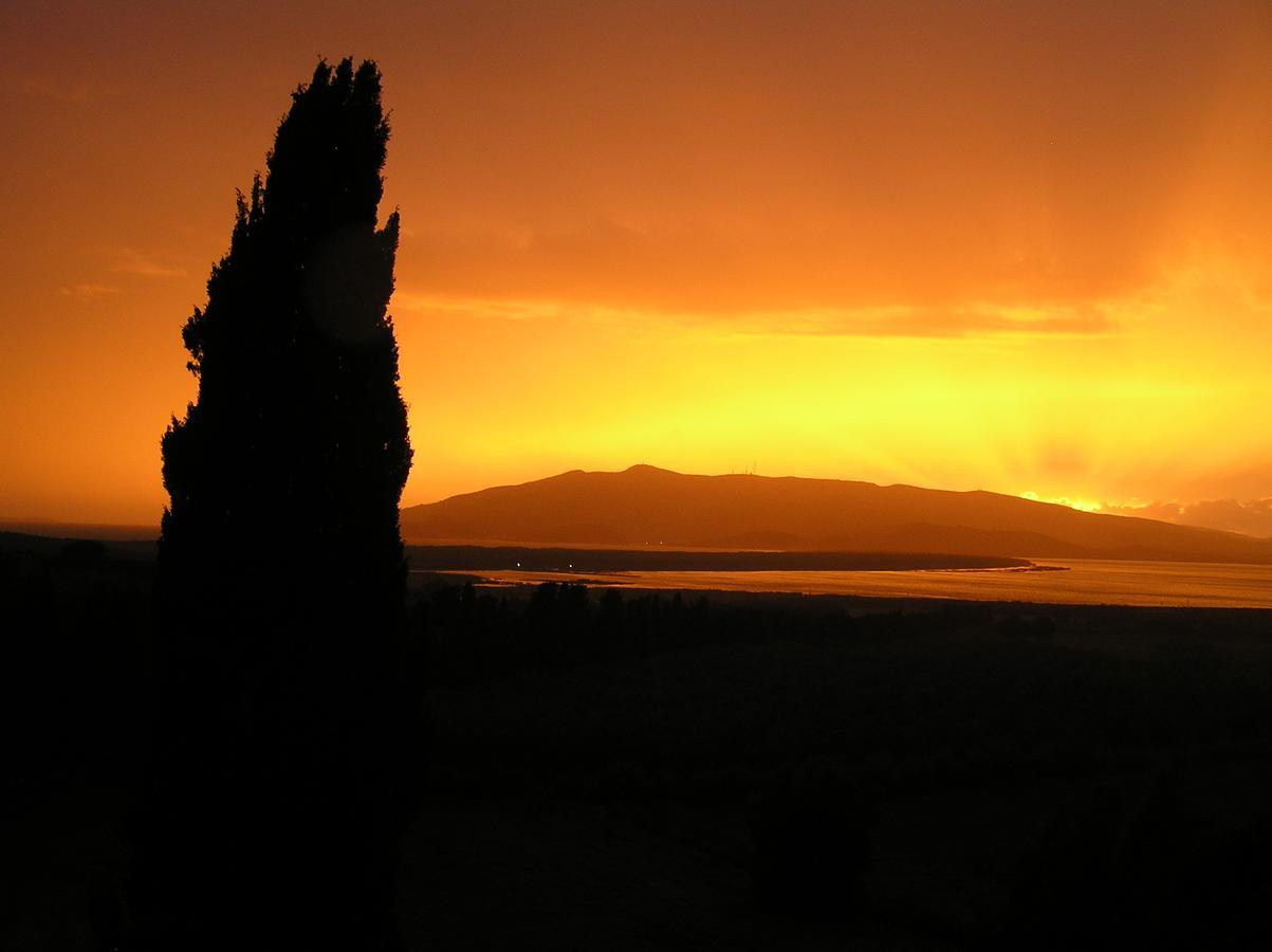 Agriturismo Grazia Orbetello Exteriér fotografie