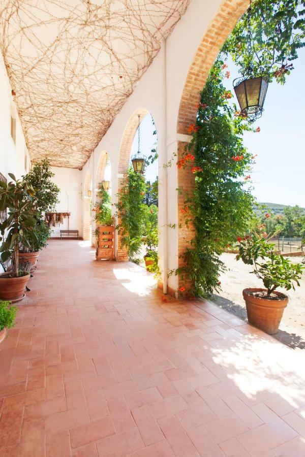 Agriturismo Grazia Orbetello Exteriér fotografie